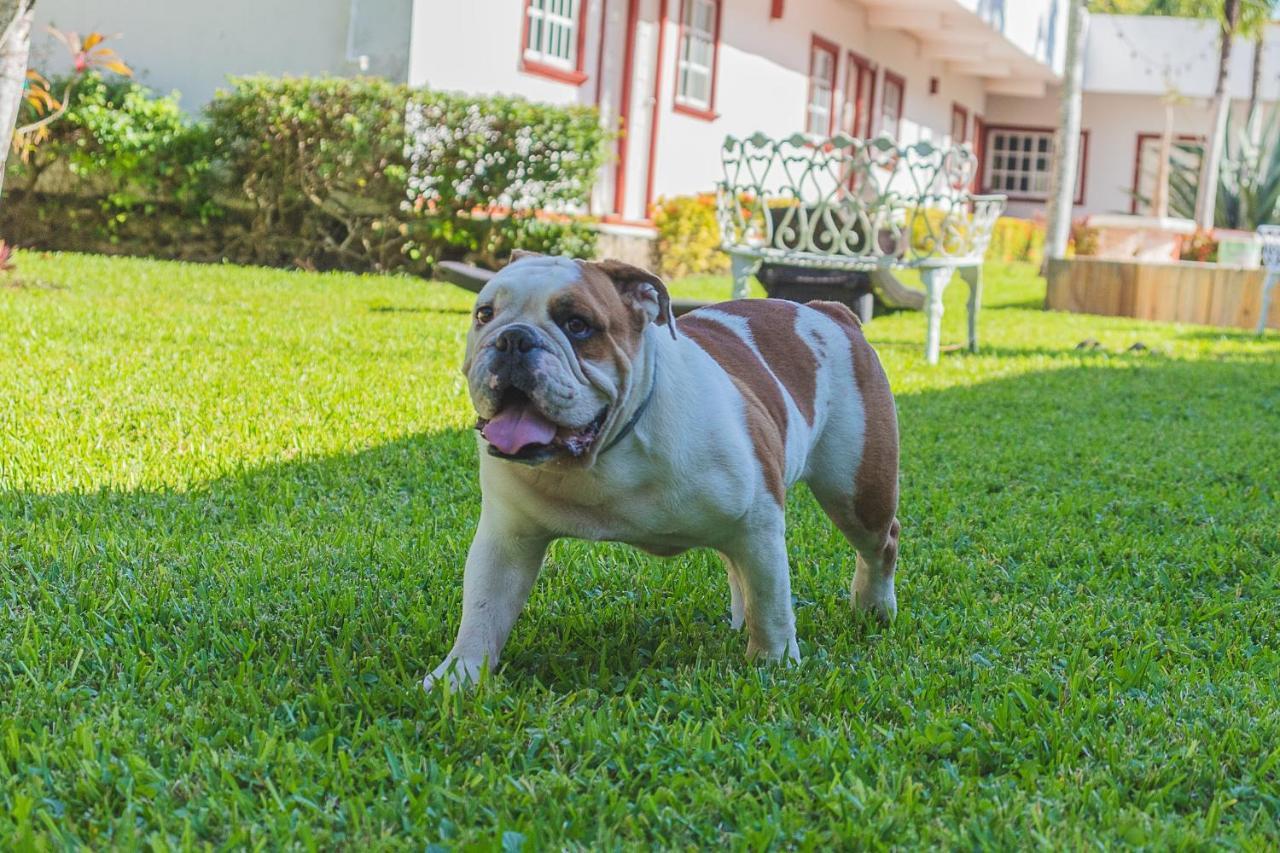 Lagoon - Pet Friendly