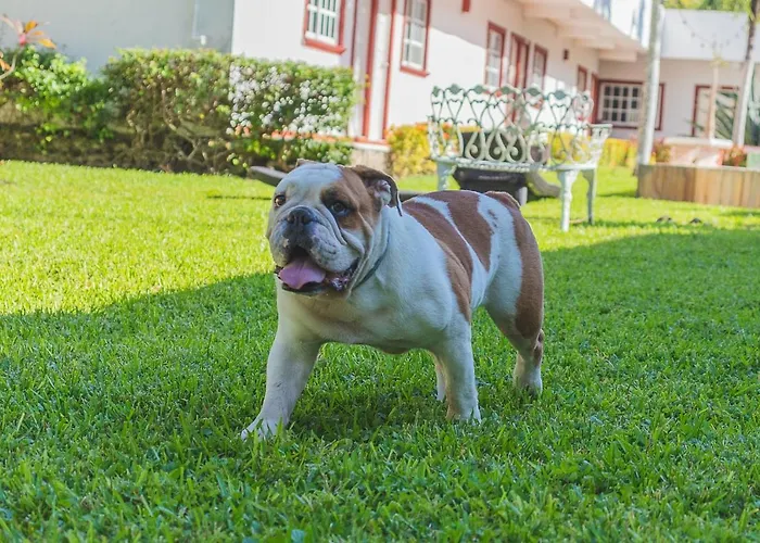Hotel Lagoon - Pet Friendly